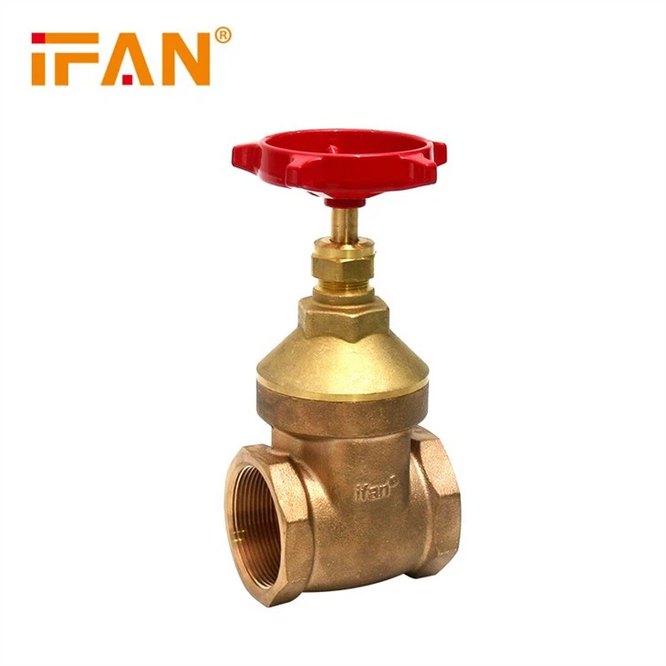 Brass Globe Valve