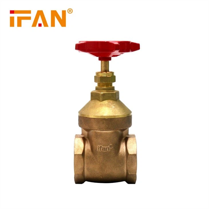 globe valve