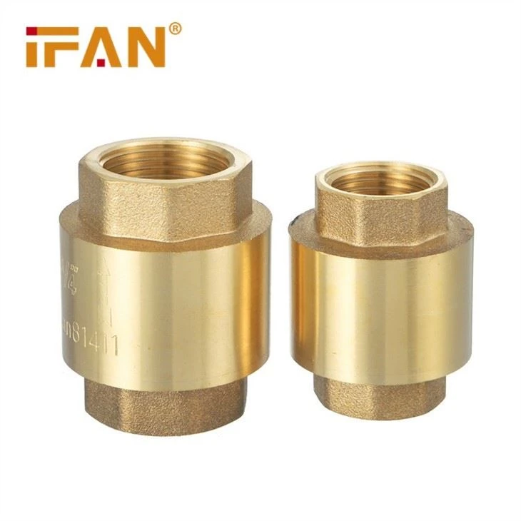 Brass Spring Check Valve
